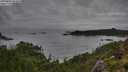 ./images/calvert/foggy-cove/20250806/foggy-cove20250806_084010M.jpg