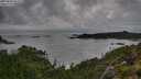 ./images/calvert/foggy-cove/20250806/foggy-cove20250806_085010M.jpg
