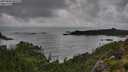 ./images/calvert/foggy-cove/20250806/foggy-cove20250806_085510M.jpg