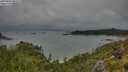 ./images/calvert/foggy-cove/20250806/foggy-cove20250806_091010M.jpg