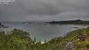 ./images/calvert/foggy-cove/20250806/foggy-cove20250806_092011M.jpg