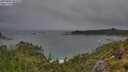 ./images/calvert/foggy-cove/20250806/foggy-cove20250806_092510M.jpg