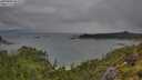 ./images/calvert/foggy-cove/20250806/foggy-cove20250806_093010M.jpg