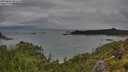 ./images/calvert/foggy-cove/20250806/foggy-cove20250806_093510M.jpg