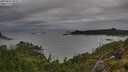 ./images/calvert/foggy-cove/20250806/foggy-cove20250806_095011M.jpg