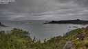 ./images/calvert/foggy-cove/20250806/foggy-cove20250806_095508M.jpg