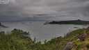 ./images/calvert/foggy-cove/20250806/foggy-cove20250806_100508M.jpg