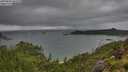 ./images/calvert/foggy-cove/20250806/foggy-cove20250806_102510M.jpg