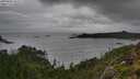 ./images/calvert/foggy-cove/20250806/foggy-cove20250806_105509M.jpg