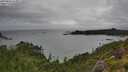 ./images/calvert/foggy-cove/20250806/foggy-cove20250806_110011M.jpg