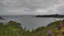 ./images/calvert/foggy-cove/20250806/foggy-cove20250806_110508M.jpg