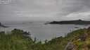 ./images/calvert/foggy-cove/20250806/foggy-cove20250806_111010M.jpg