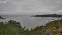./images/calvert/foggy-cove/20250806/foggy-cove20250806_111510M.jpg