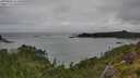 ./images/calvert/foggy-cove/20250806/foggy-cove20250806_112010M.jpg