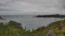 ./images/calvert/foggy-cove/20250806/foggy-cove20250806_112509M.jpg