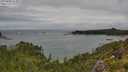 ./images/calvert/foggy-cove/20250806/foggy-cove20250806_113011M.jpg