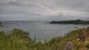 ./images/calvert/foggy-cove/20250806/foggy-cove20250806_114011M.jpg