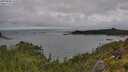 ./images/calvert/foggy-cove/20250806/foggy-cove20250806_115509M.jpg