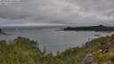 ./images/calvert/foggy-cove/20250806/foggy-cove20250806_120010M.jpg
