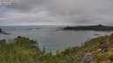 ./images/calvert/foggy-cove/20250806/foggy-cove20250806_120508M.jpg