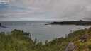 ./images/calvert/foggy-cove/20250806/foggy-cove20250806_121509M.jpg