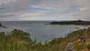 ./images/calvert/foggy-cove/20250806/foggy-cove20250806_123011M.jpg