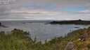 ./images/calvert/foggy-cove/20250806/foggy-cove20250806_125011M.jpg
