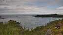 ./images/calvert/foggy-cove/20250806/foggy-cove20250806_125509M.jpg