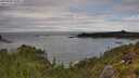 ./images/calvert/foggy-cove/20250806/foggy-cove20250806_130011M.jpg