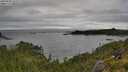 ./images/calvert/foggy-cove/20250806/foggy-cove20250806_131011M.jpg