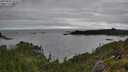 ./images/calvert/foggy-cove/20250806/foggy-cove20250806_131511M.jpg