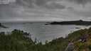 ./images/calvert/foggy-cove/20250806/foggy-cove20250806_133509M.jpg