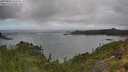 ./images/calvert/foggy-cove/20250806/foggy-cove20250806_141010M.jpg