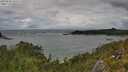 ./images/calvert/foggy-cove/20250806/foggy-cove20250806_150506M.jpg