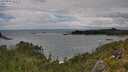 ./images/calvert/foggy-cove/20250806/foggy-cove20250806_153510M.jpg