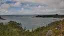 ./images/calvert/foggy-cove/20250806/foggy-cove20250806_160511M.jpg