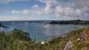 ./images/calvert/foggy-cove/20250806/foggy-cove20250806_165510M.jpg