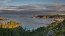 ./images/calvert/foggy-cove/20250807/foggy-cove20250807_070509M.jpg