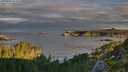 ./images/calvert/foggy-cove/20250807/foggy-cove20250807_072009M.jpg