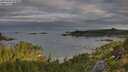 ./images/calvert/foggy-cove/20250807/foggy-cove20250807_074009M.jpg
