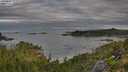 ./images/calvert/foggy-cove/20250807/foggy-cove20250807_075010M.jpg