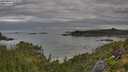 ./images/calvert/foggy-cove/20250807/foggy-cove20250807_075509M.jpg