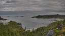 ./images/calvert/foggy-cove/20250807/foggy-cove20250807_080011M.jpg