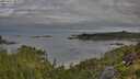 ./images/calvert/foggy-cove/20250807/foggy-cove20250807_082009M.jpg