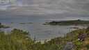 ./images/calvert/foggy-cove/20250807/foggy-cove20250807_082509M.jpg