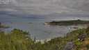 ./images/calvert/foggy-cove/20250807/foggy-cove20250807_083511M.jpg
