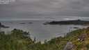 ./images/calvert/foggy-cove/20250807/foggy-cove20250807_094511M.jpg