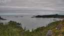 ./images/calvert/foggy-cove/20250807/foggy-cove20250807_101511M.jpg