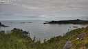 ./images/calvert/foggy-cove/20250807/foggy-cove20250807_110510M.jpg