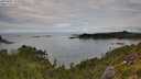 ./images/calvert/foggy-cove/20250807/foggy-cove20250807_111508M.jpg
